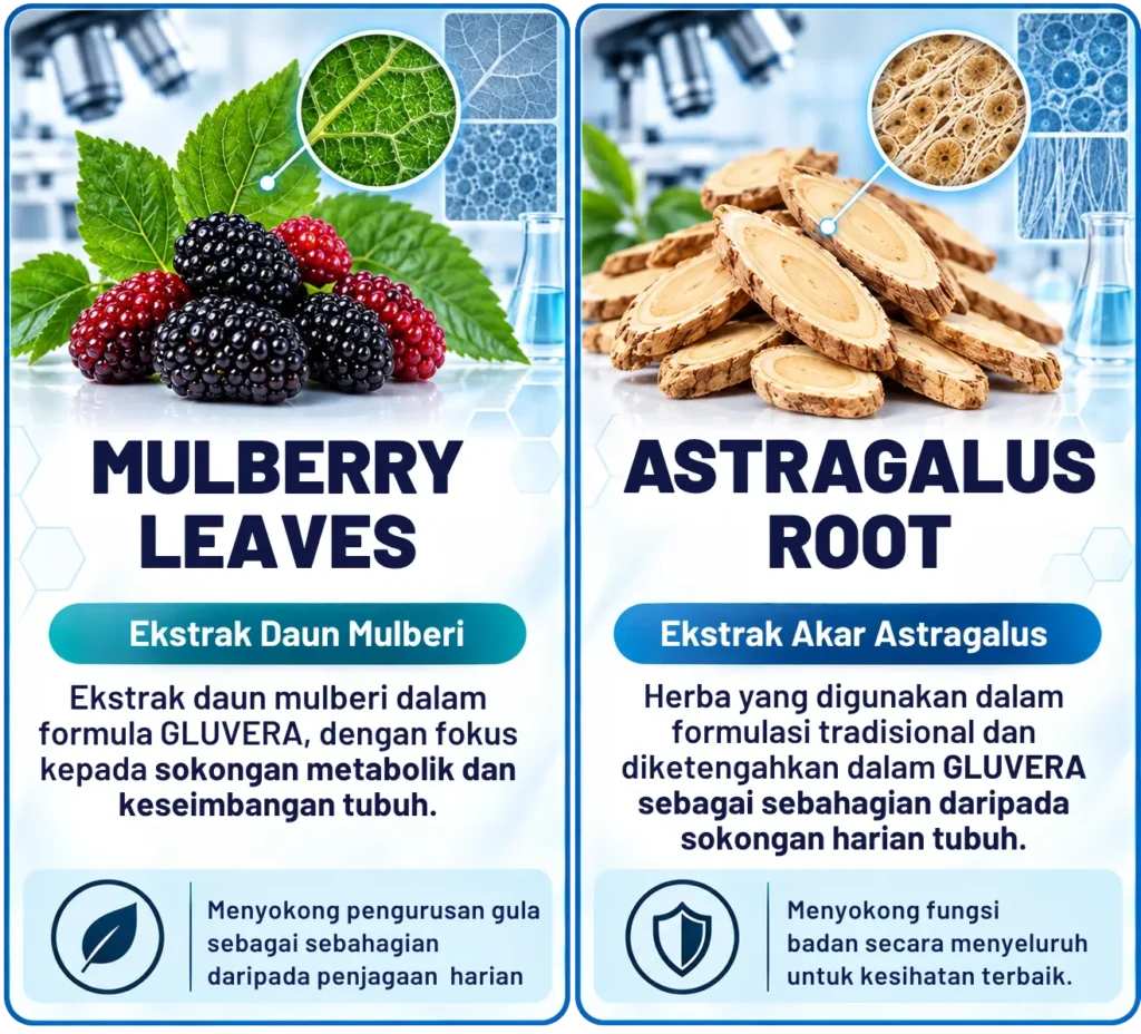 Bahan aktif GLUVERA